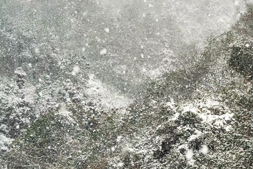 雪满山中