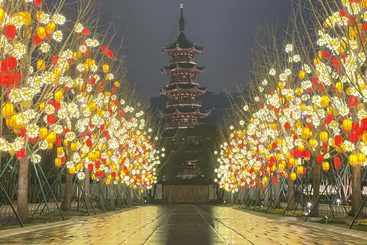 繁花——上海龙华龙年灯会