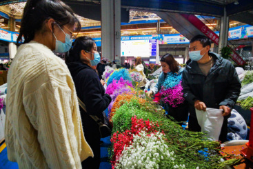 昆明斗南花卉市场热闹非凡