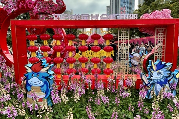 花开罗湖 龙腾盛世
