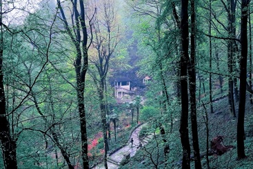 烟霞志