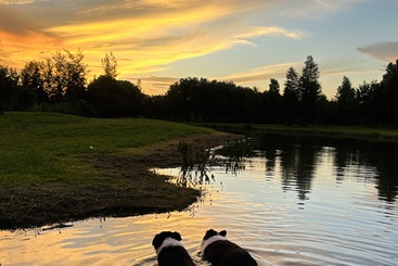 追赶夕阳（一）