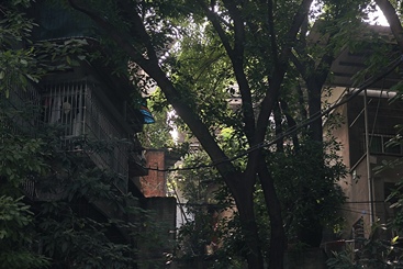 山中旧居