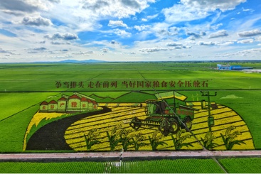 北大荒稻田画