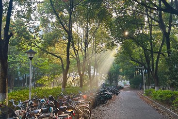 丁达尔效应