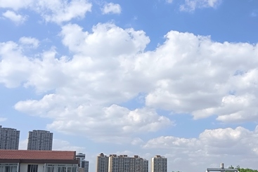 阳光正好