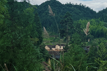 山林中的村庄