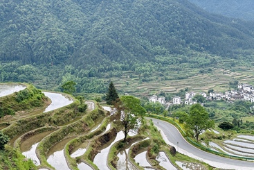 梯田（三）