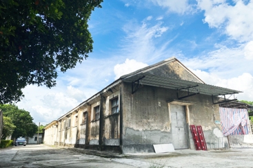 《光明大宝鸽厂》（组图）
