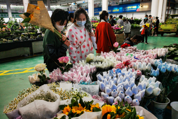 昆明斗南花卉市场热闹非凡