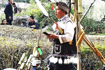 《芦笙头》