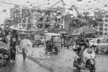 雨中即景7