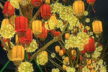 繁花——上海龙华龙年灯会