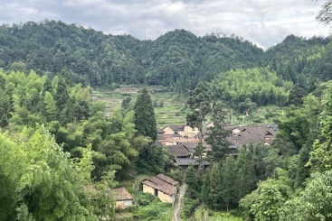 高演村