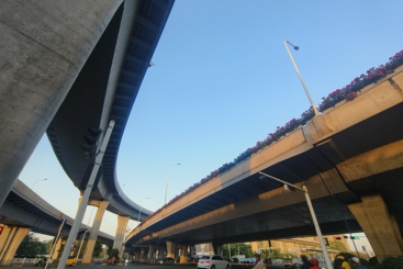 美丽高架