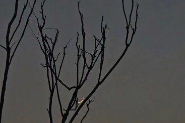 月牙