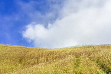 深秋的武功山美景