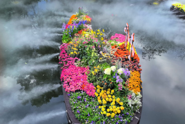 花韵