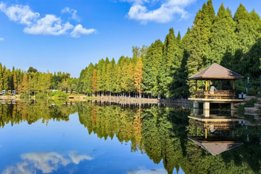海洪湿地公园景如画
