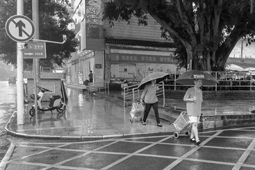 雨中即景4