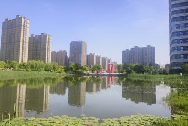 九龙湖公园