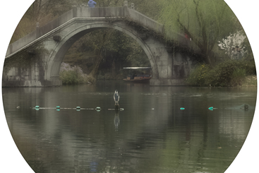 图三
