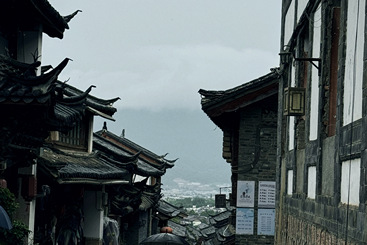 雨下撑花