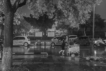 雨中即景8