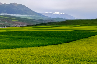风景入画卓尔山1