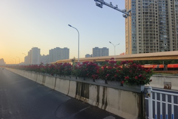美丽高架