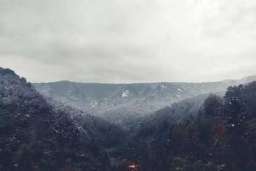 山
