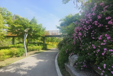 九龙湖公园