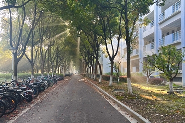丁达尔效应
