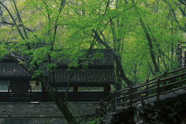 峰回路转