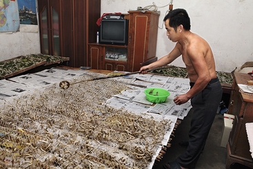 中原养蚕织绸技艺组照 1.jpg