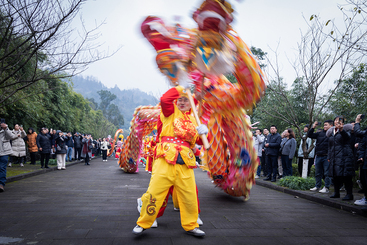 祥龙劲舞闹佳节