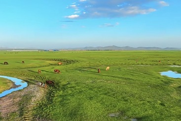 大草原美景1