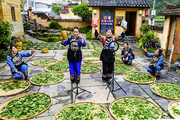 网红带货卖茶叶（组照）1