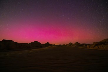 Z39305-3-277362-186****5222-DSC_5093-已增强-降噪.jpeg