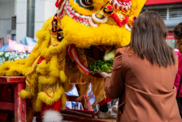 Z37397-1-277263-176****1707-人文纪实类+王诚杰+广东+176****1707+《狮舞兴隆》 （3）.jpg