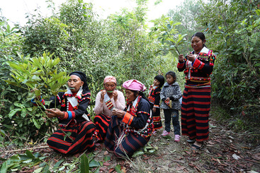女人们用树叶做哨