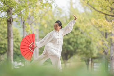 太极扇