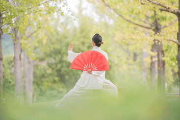 太极扇