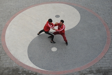 Z5408-7-277263-135****5792-DSC_2990_副本_副本.jpg