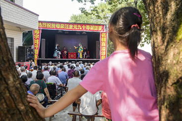 小孩子爬在树上观看祁剧