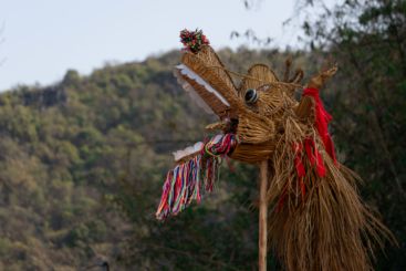 龙头高昂