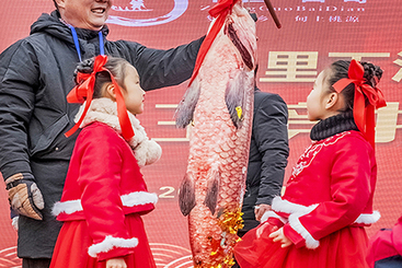 Z37966-10-277263-137****7903-喜庆丰收.共享魚乐--组图--7--3----又创新记录了.jpg
