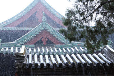Z11161-11-277263-189****8069-大佛寺春雪02+189****8069.jpg
