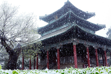 Z11161-11-277263-189****8069-大佛寺春雪04+189****8069.JPG