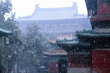 Z11161-11-277263-189****8069-大佛寺春雪03+189****8069.JPG
